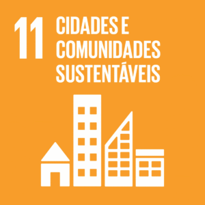 Objetivo_Desenvolvimento_Sustentável_11