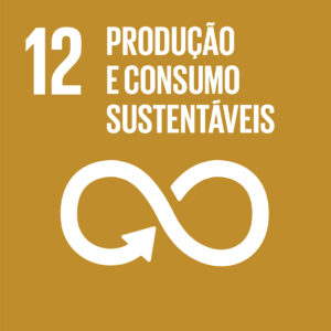 Objetivo_Desenvolvimento_Sustentável_12