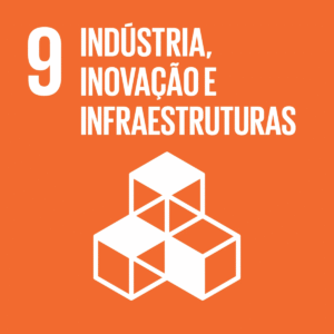 Objetivo_Desenvolvimento_Sustentável_9