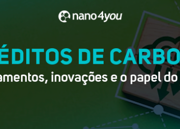 Crédito de Carbono: fundamentos, inovações e o papel do Brasil