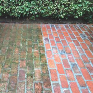 Musgo e Fungo Attack - Limpador de Musgo e Fungo - Imagem 3