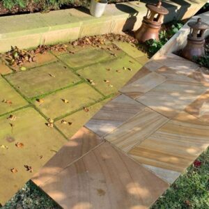 Musgo e Fungo Attack - Limpador de Musgo e Fungo - Imagem 2