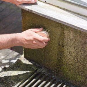 Musgo e Fungo Attack - Limpador de Musgo e Fungo - Imagem 5