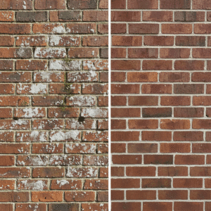 Limpa Fácil Eflorescência - Limpador orgânico para eflorescências - Imagem 3